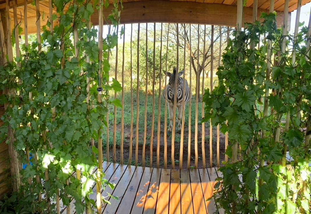 Villa Mudhouse Zululand Hluhluwe Exterior foto